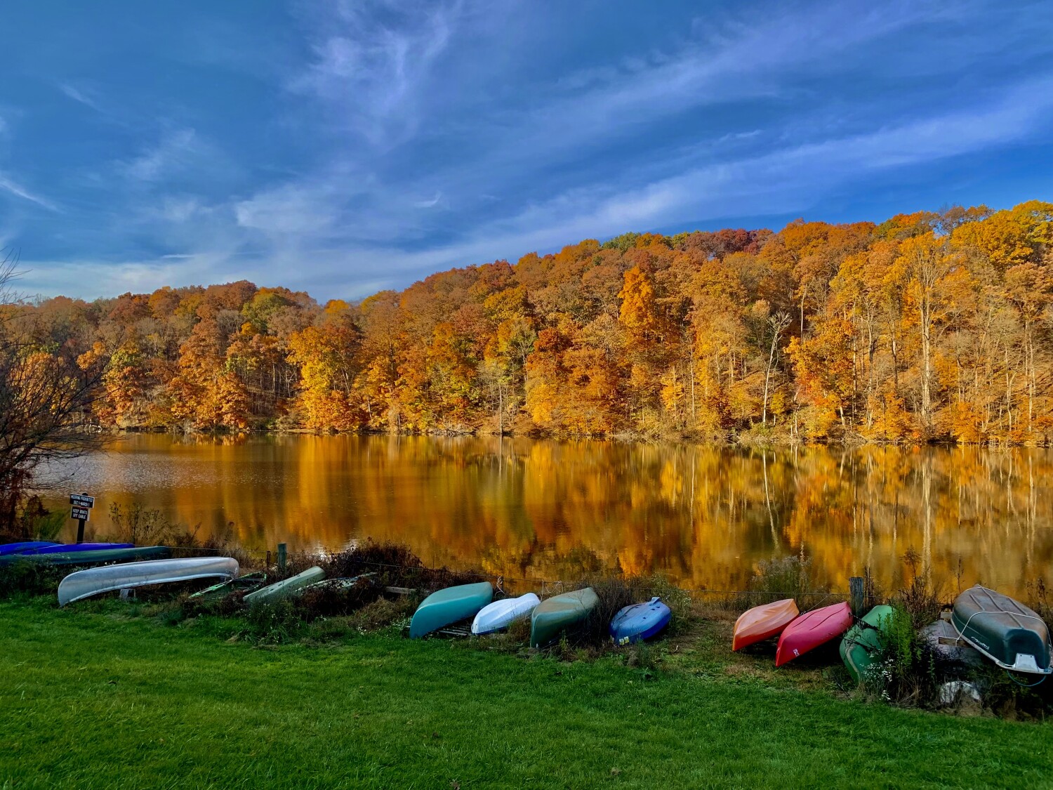 Lovely afternoon @ Speedwell Forge Lake