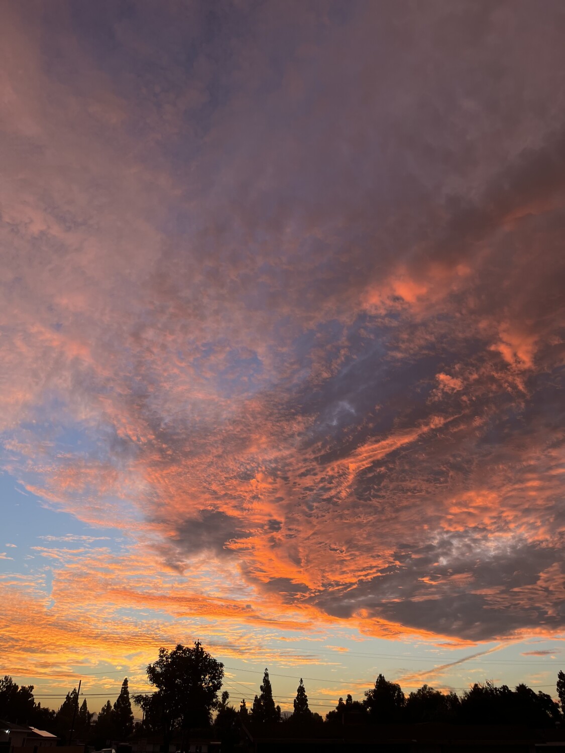 Summer Sunrise in the Neighborhood