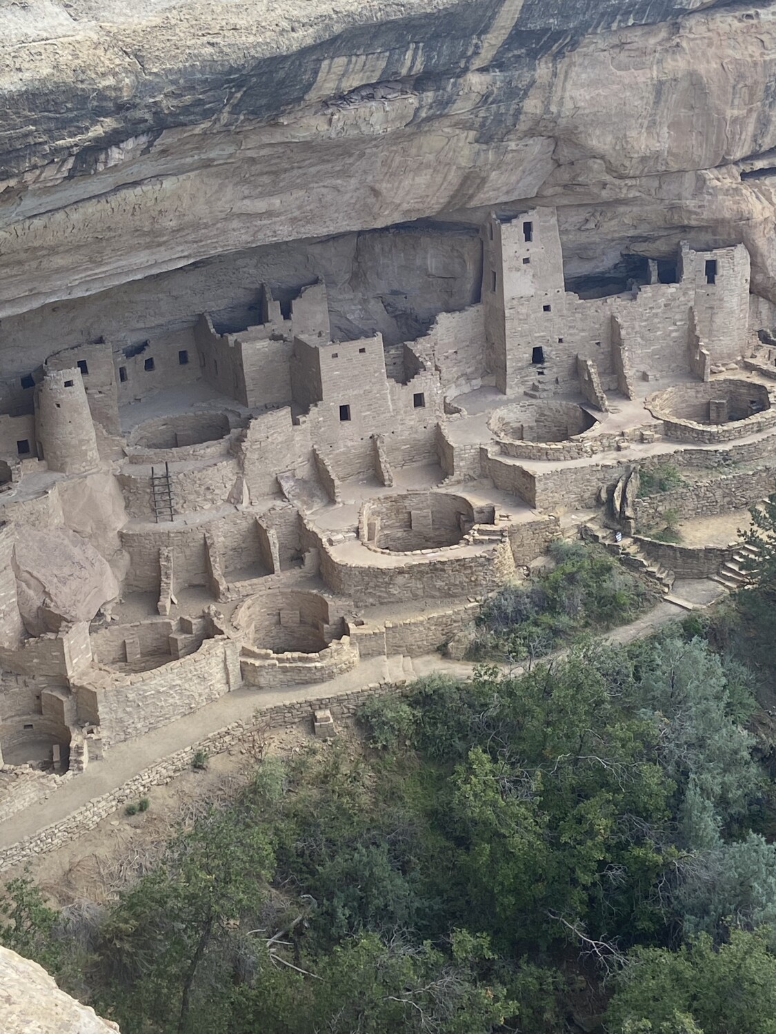 Amazing Cliff Dwellers