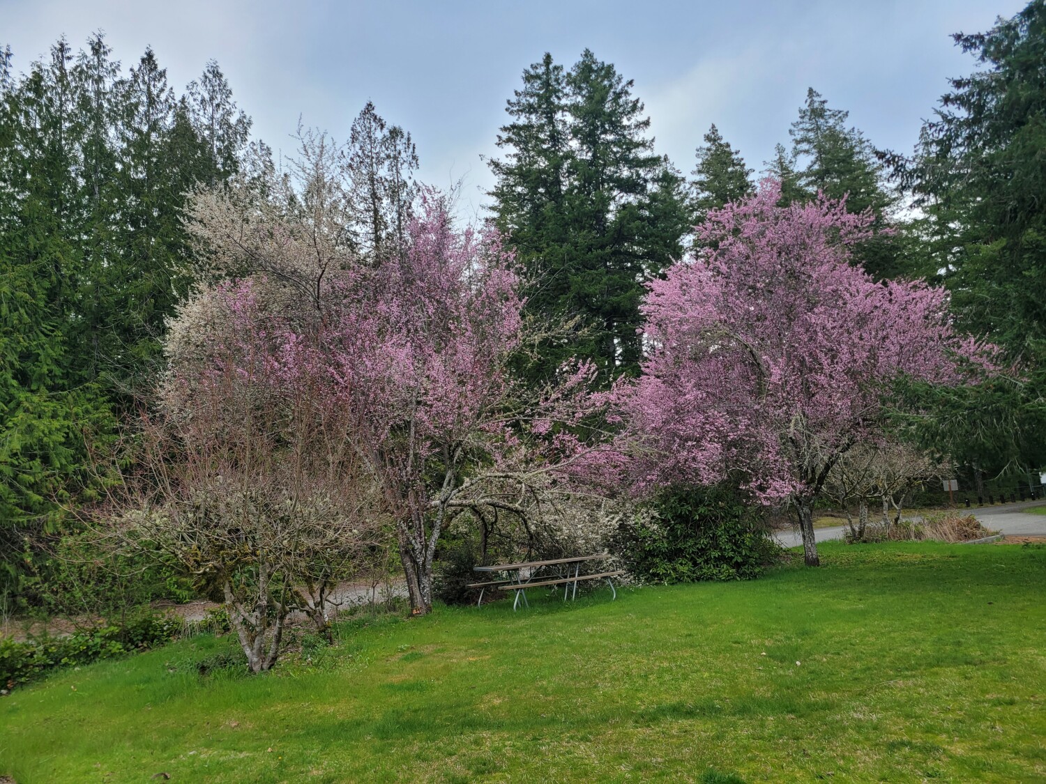 Quilcene Ranger station