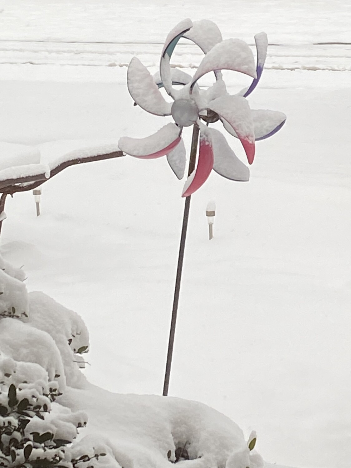 Snow flower