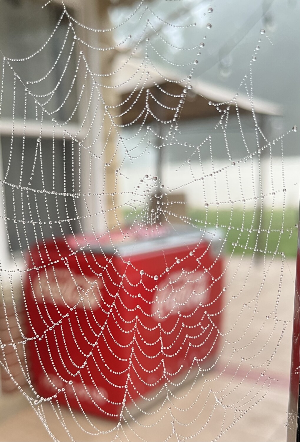 Natures Natural Jewlery