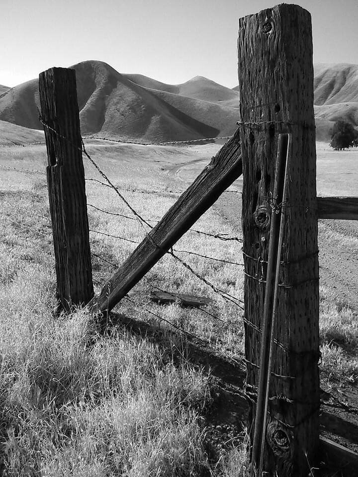 Old Fence
