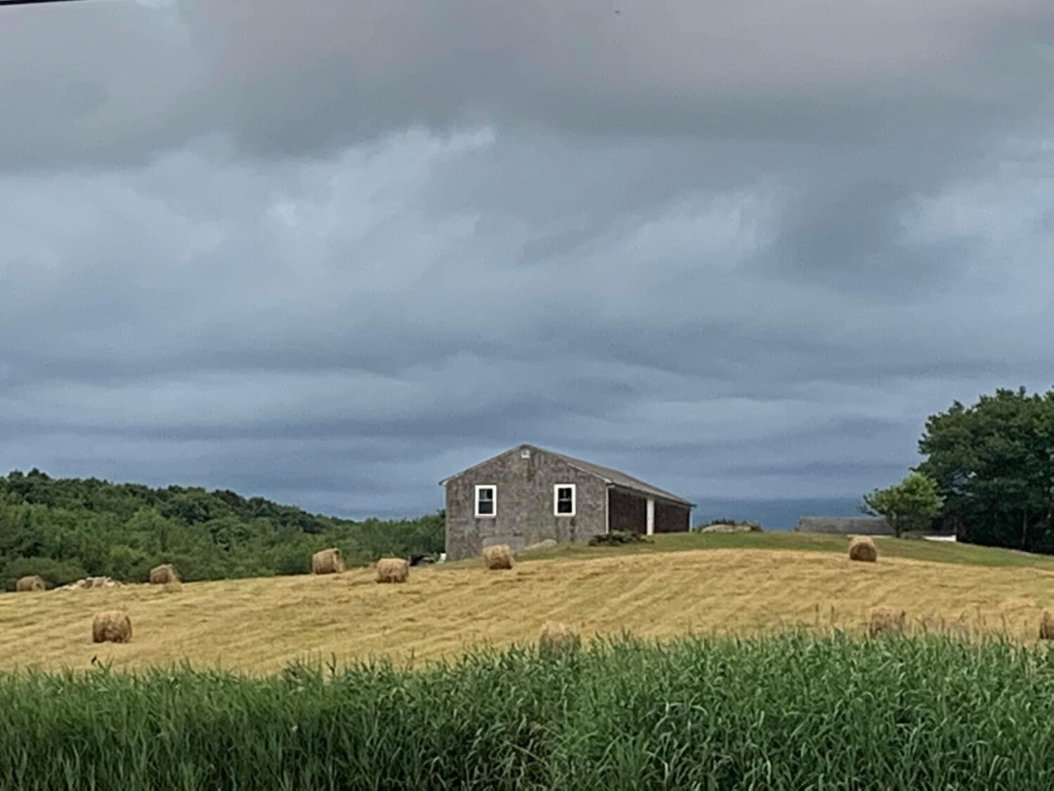 Rhode Island Hay Field