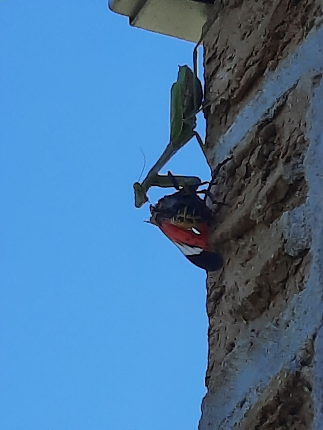 Personal Exterminator