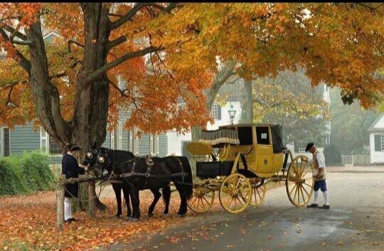 Fall in Williamsburg