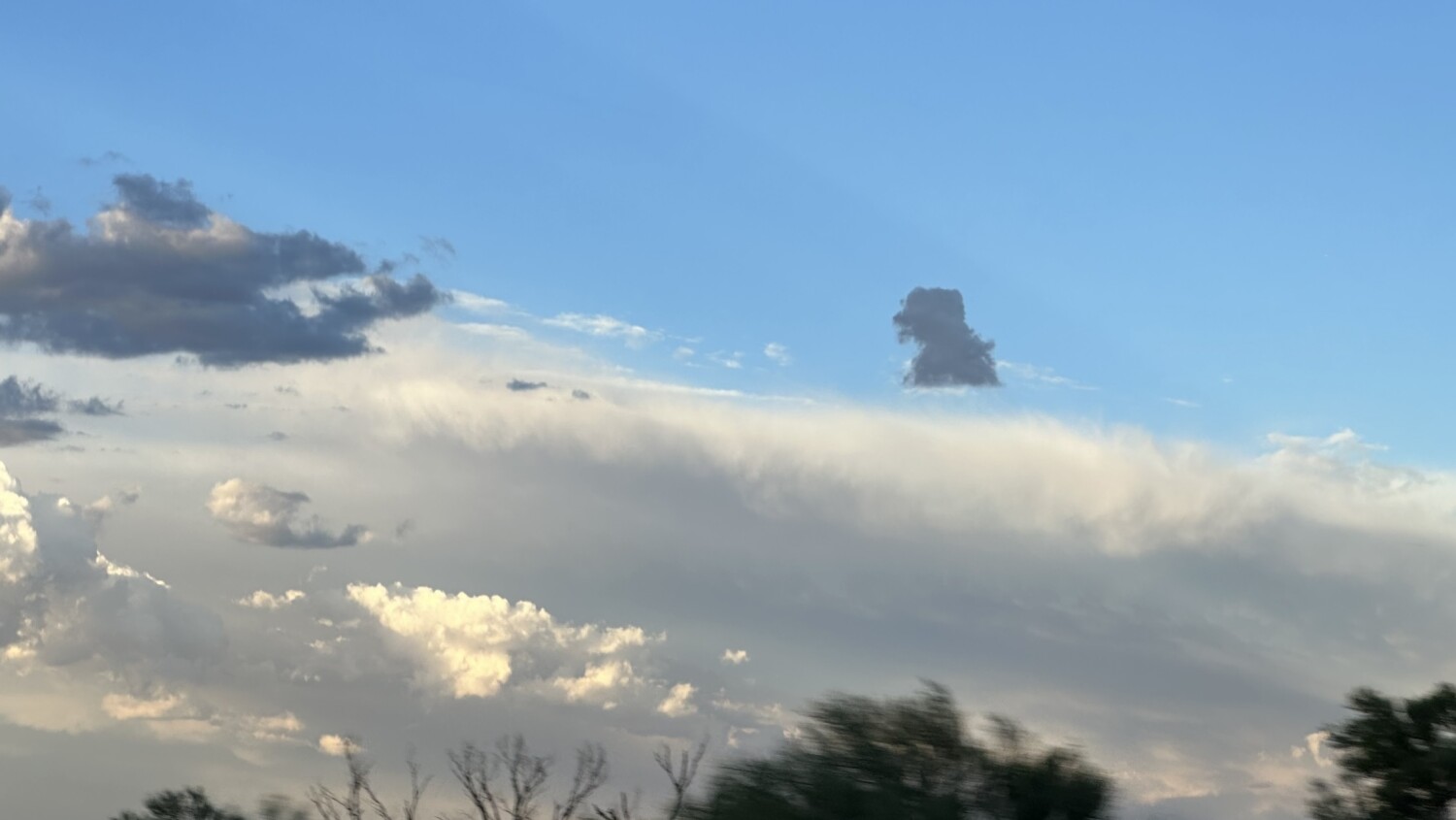 A Dog in The Clouds of Arizona