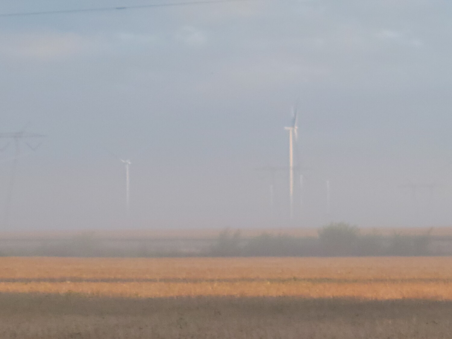 Windmills in Fog