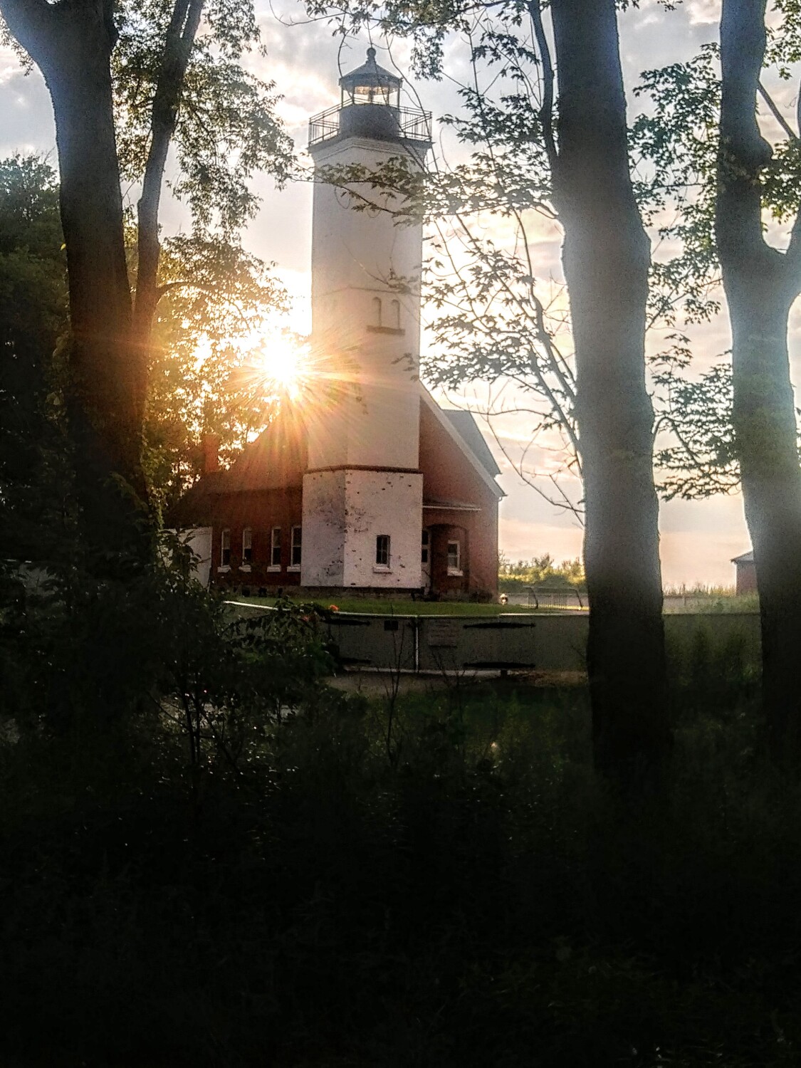 Guardian of the lake