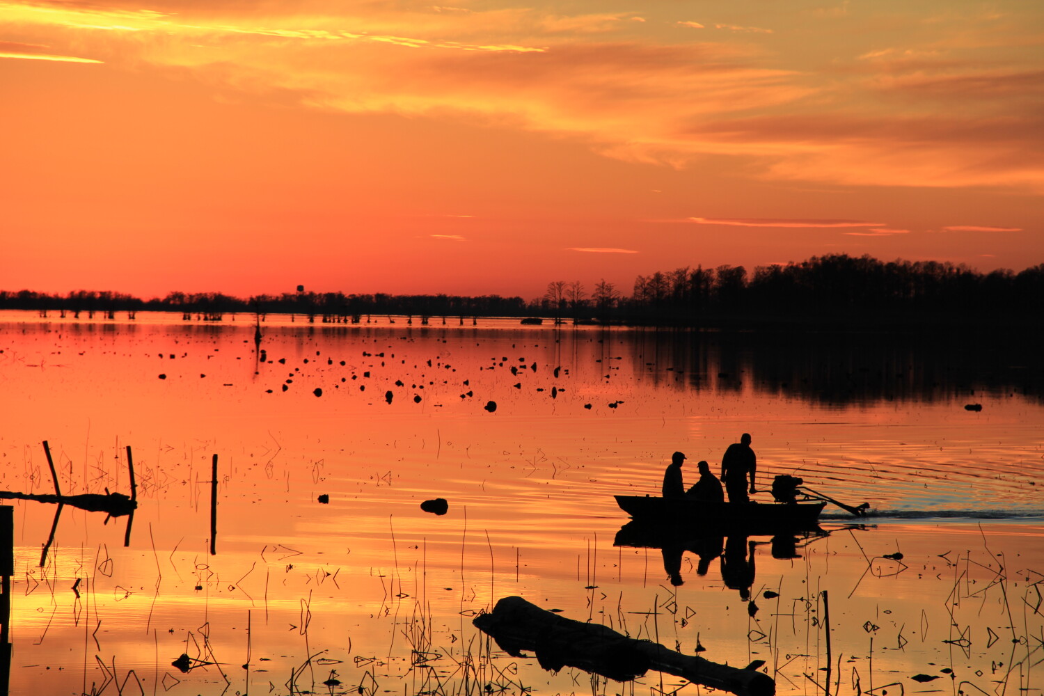 Sunset at Reelfoot Lake