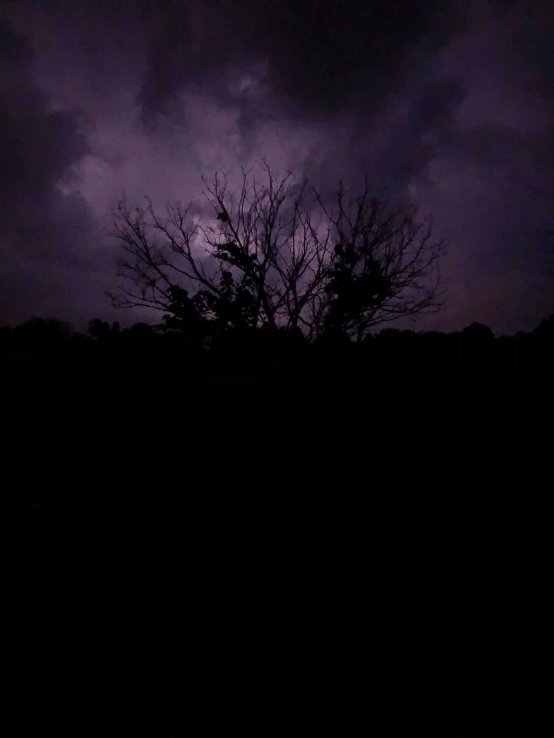 The beauty of Mother Nature.