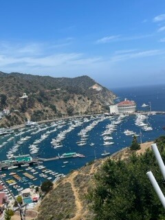 A trip to beautiful Catalina