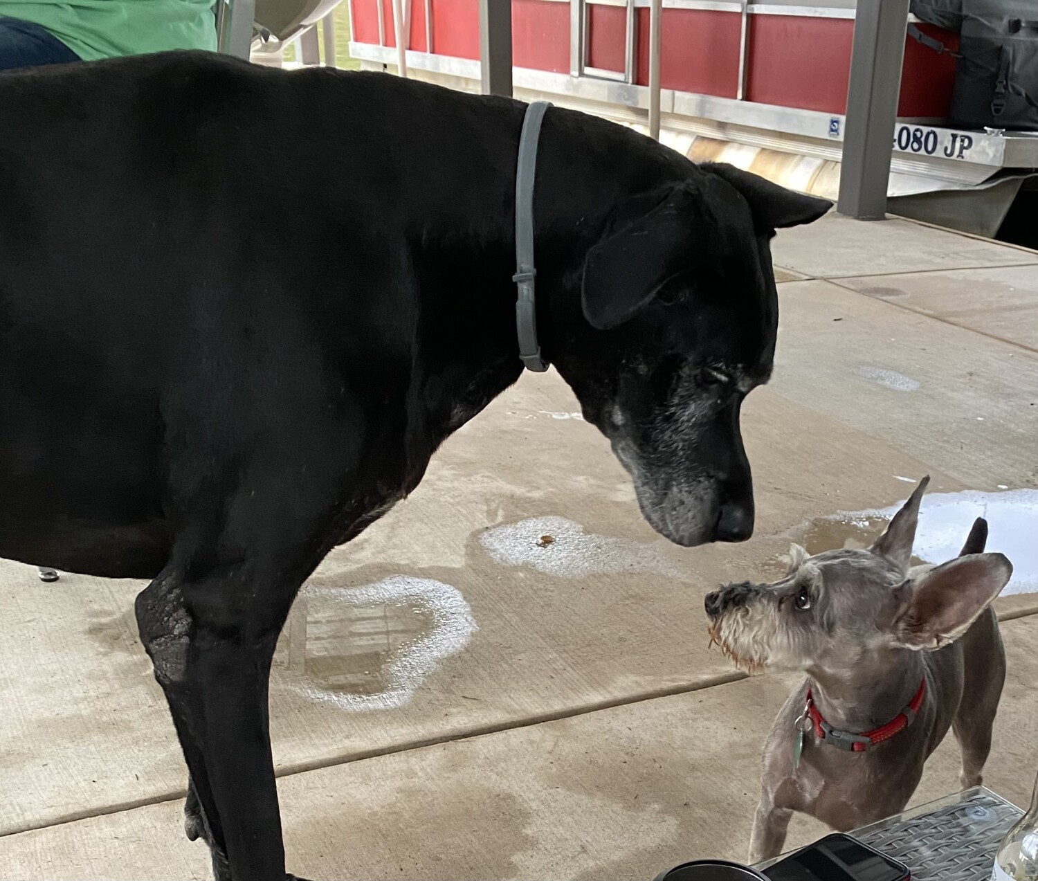 I’m bigger than you