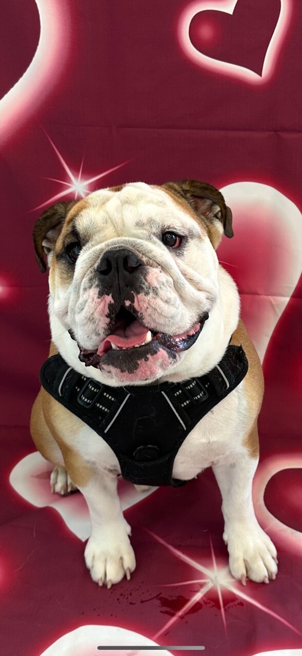 Everyone loves Frankie ❤️