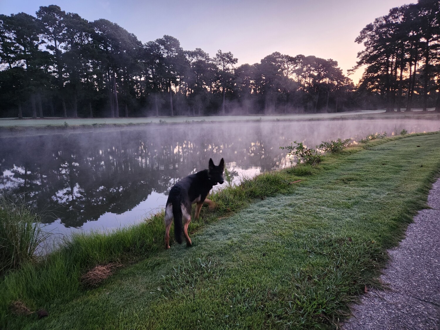 Cool Summer Morning Run