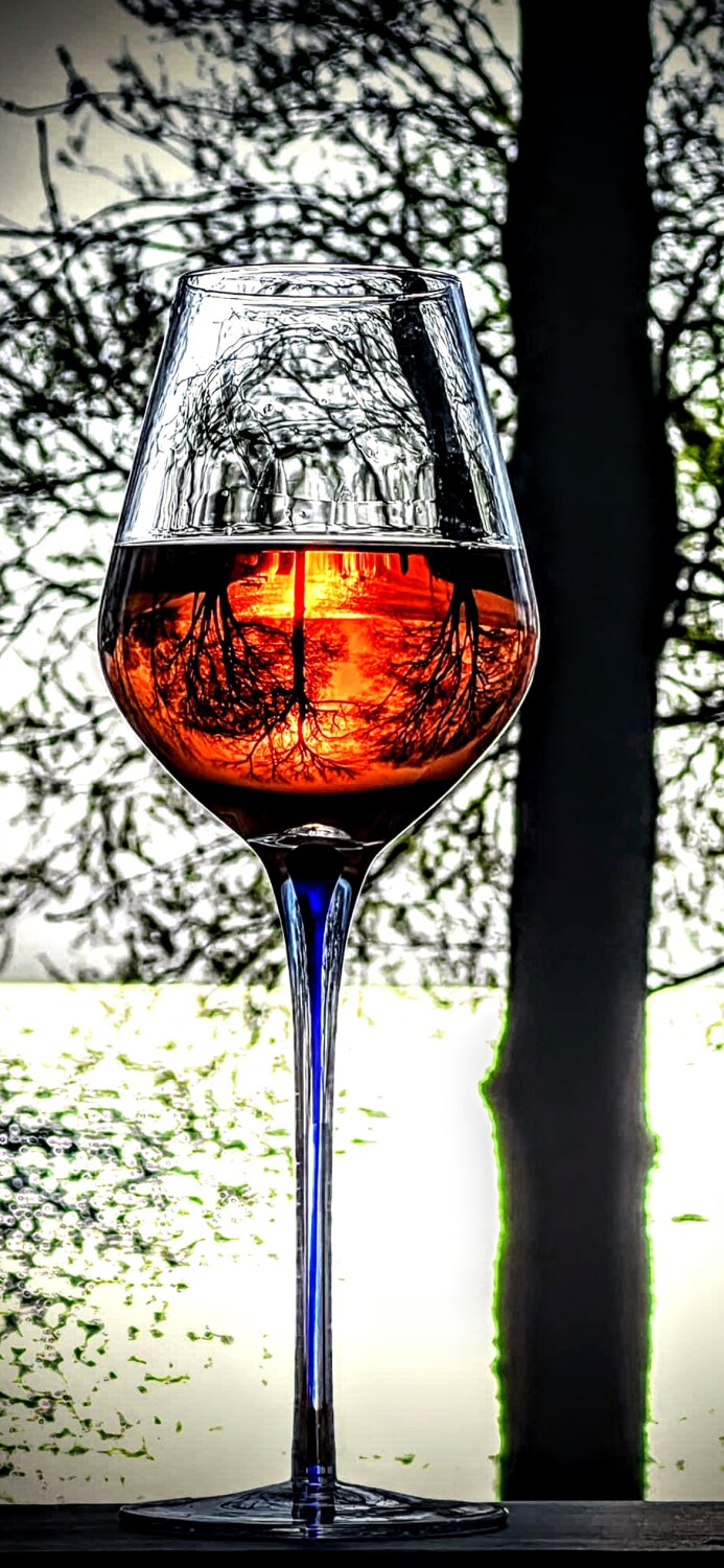 A view from a glass of wines point of view