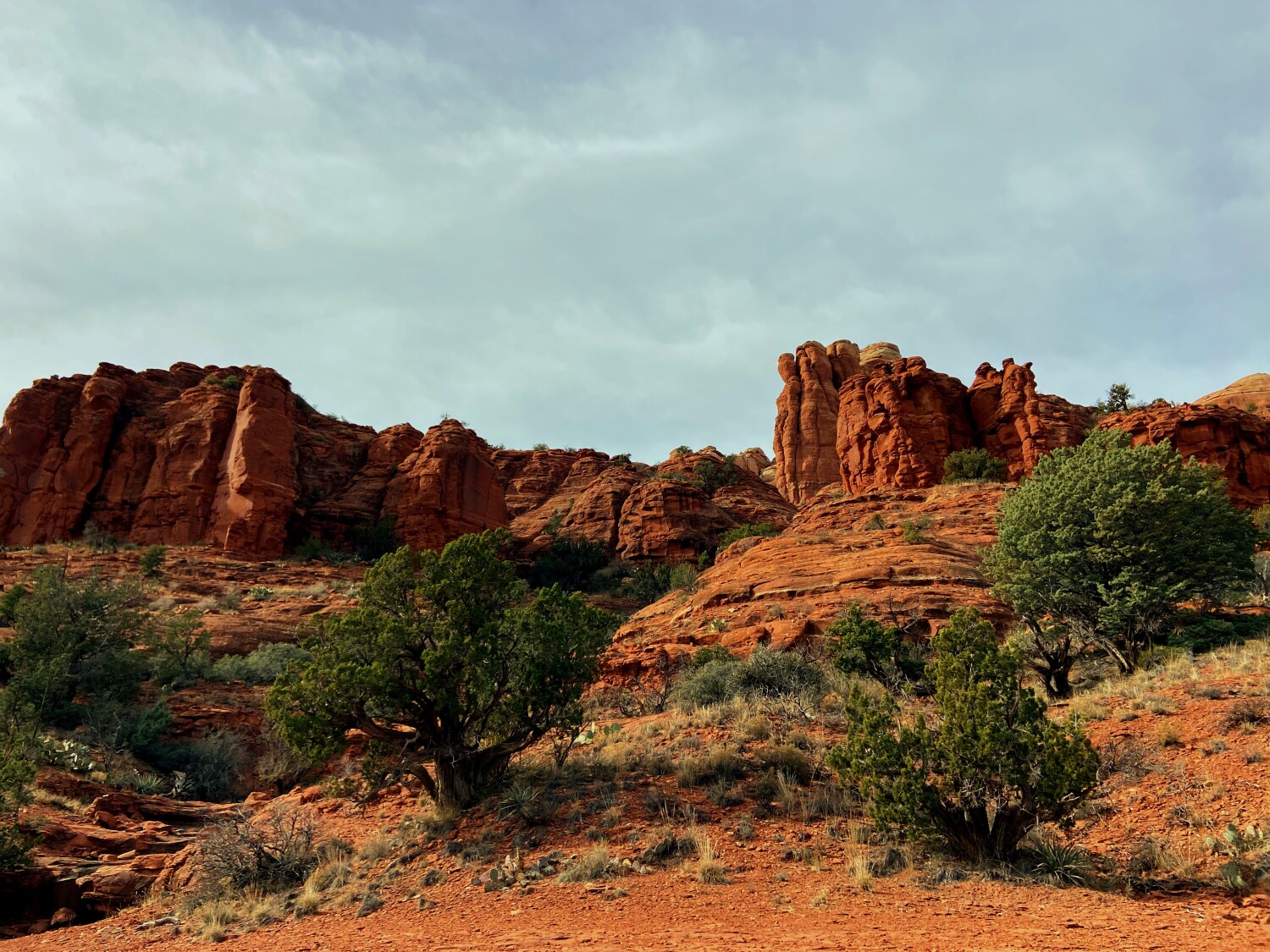 Something in the Orange