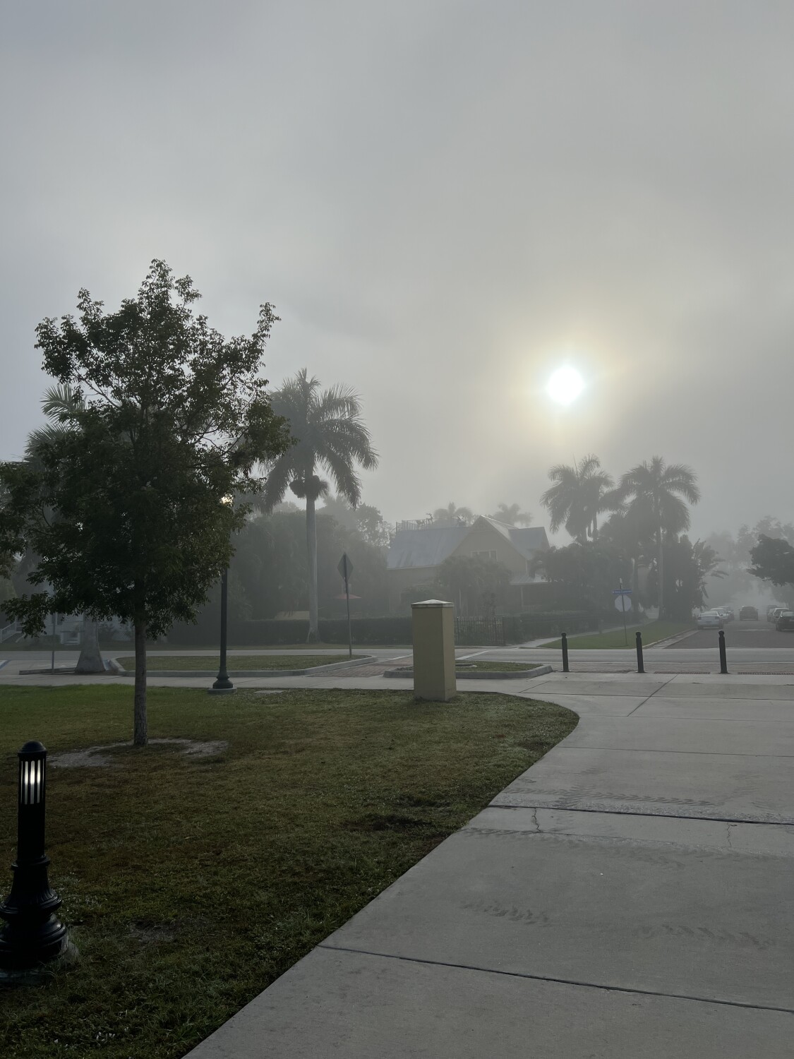 Florida’s winter morning