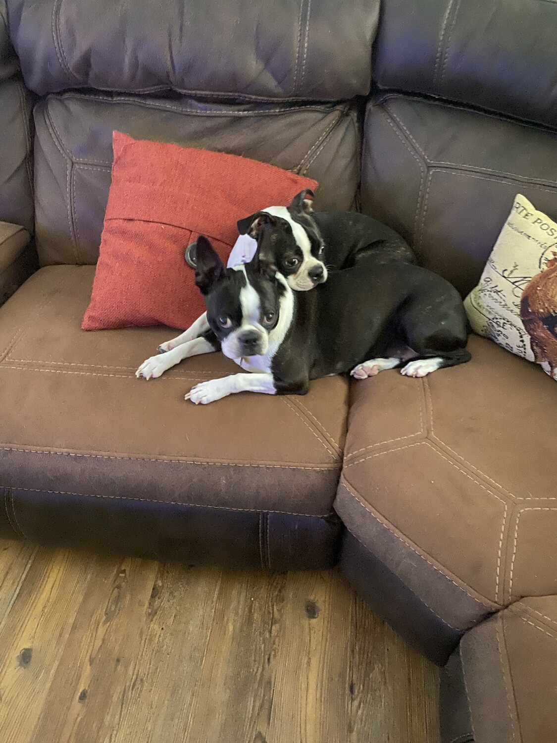 The girls hanging out