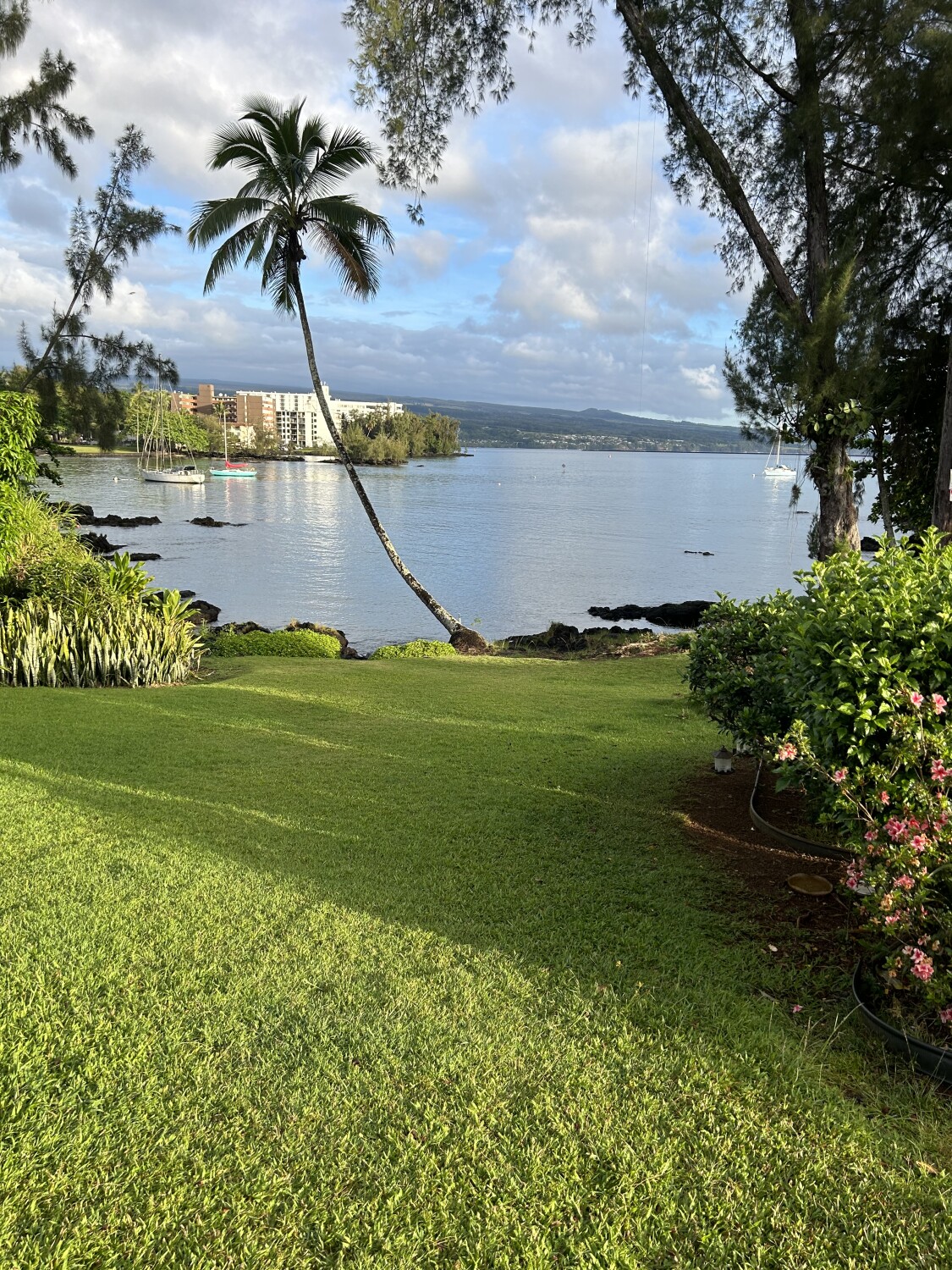 Reeds Bay - Hilo