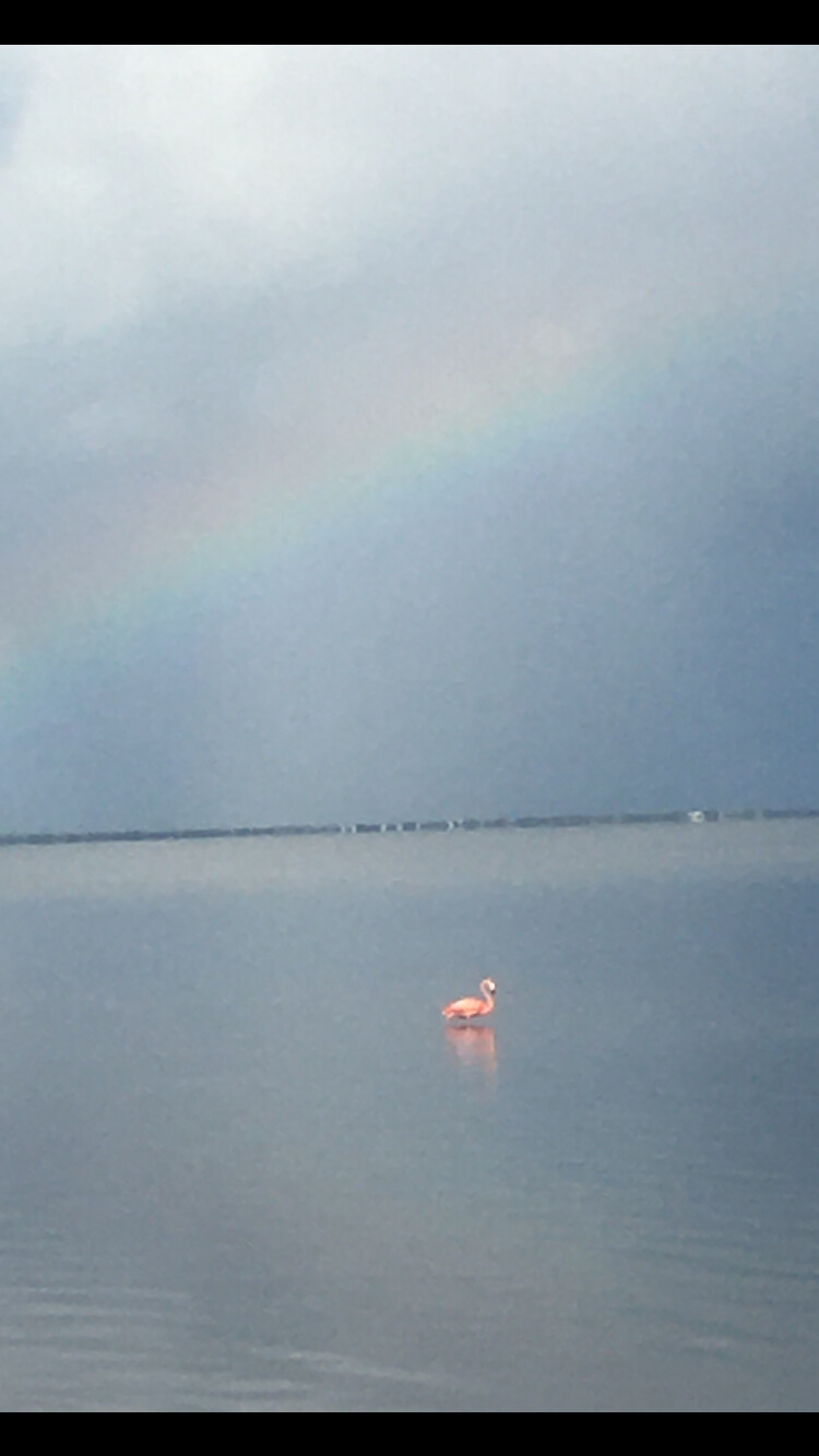 Peace and Tranquility