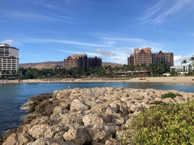 Aulani