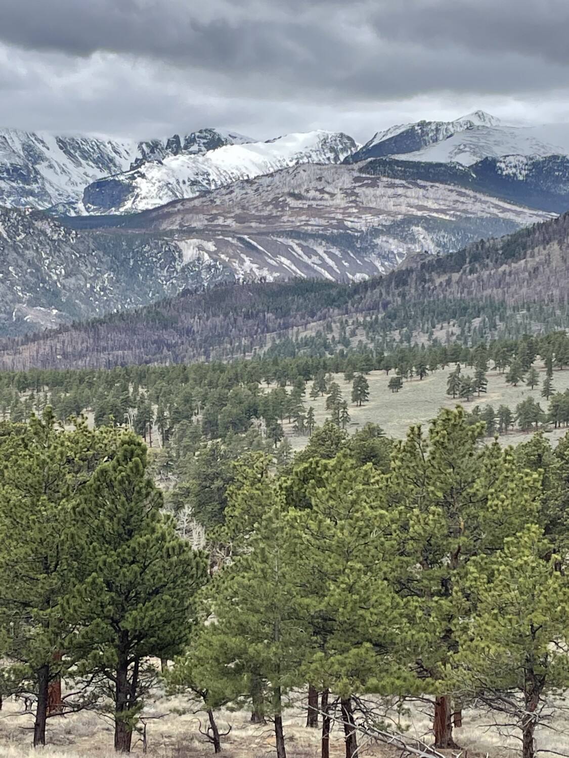 View of Rocky Mountain National Park