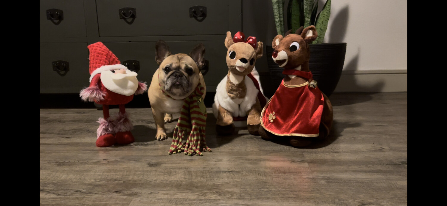 Christmas with friends