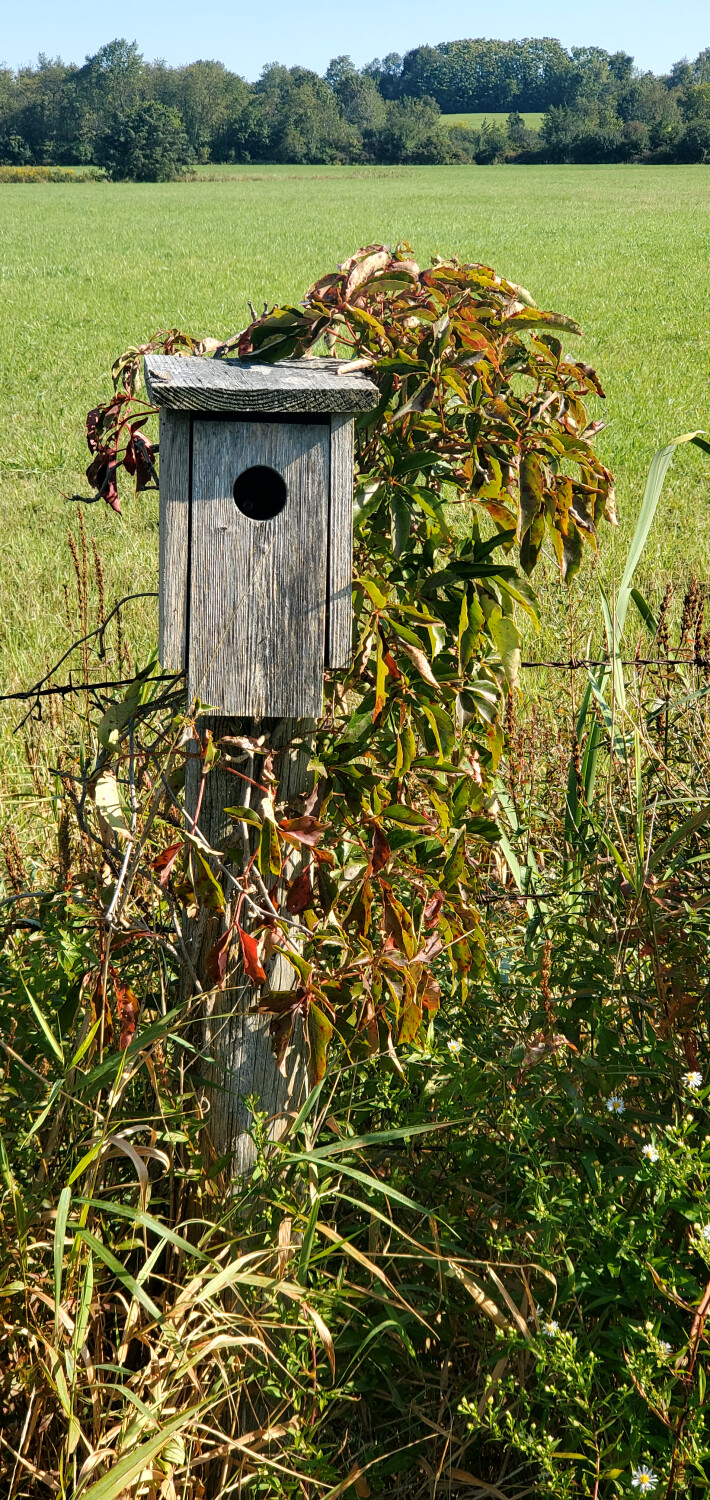 Farm birdhouse