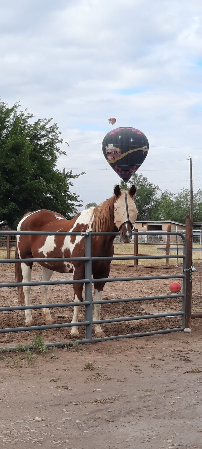 Ballooning with Flicka