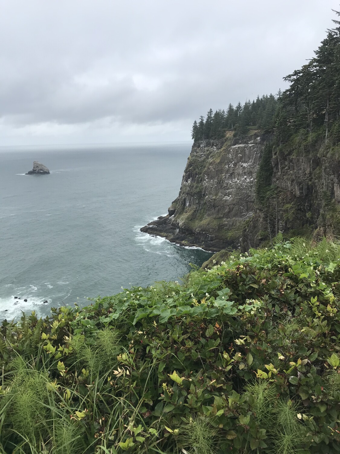Oregon coast