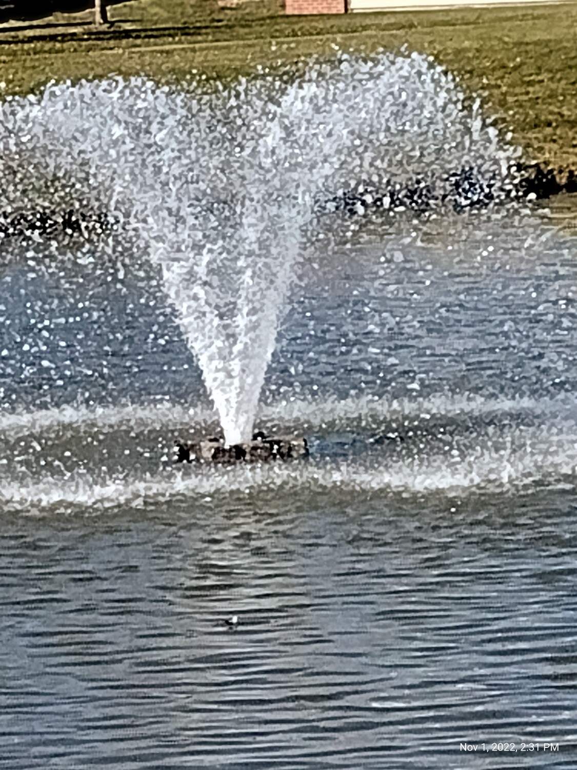 Water Fountain Droplets