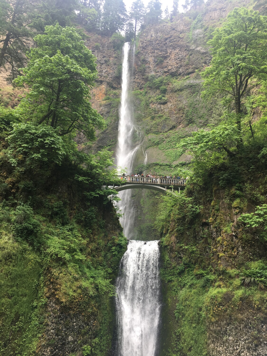Multnonah Falls
