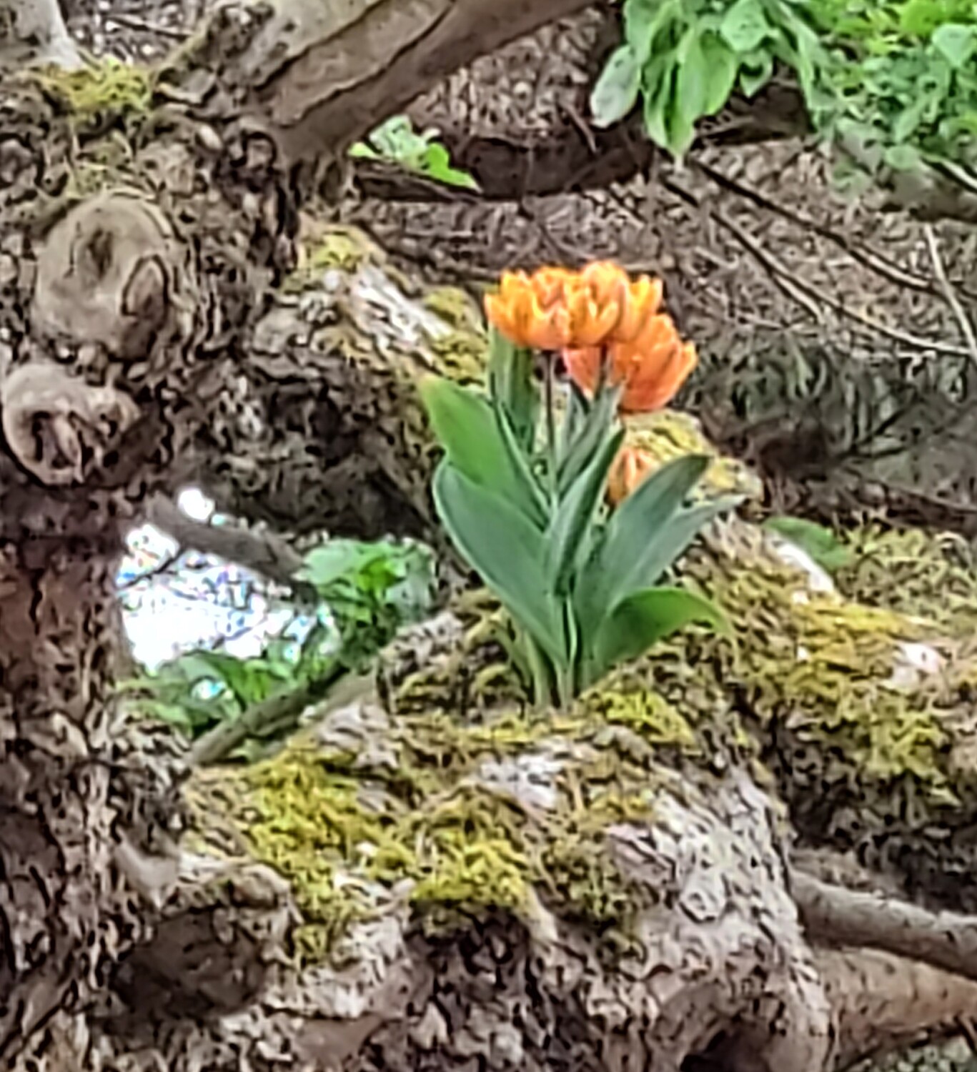 Beauty Is Found Everywhere