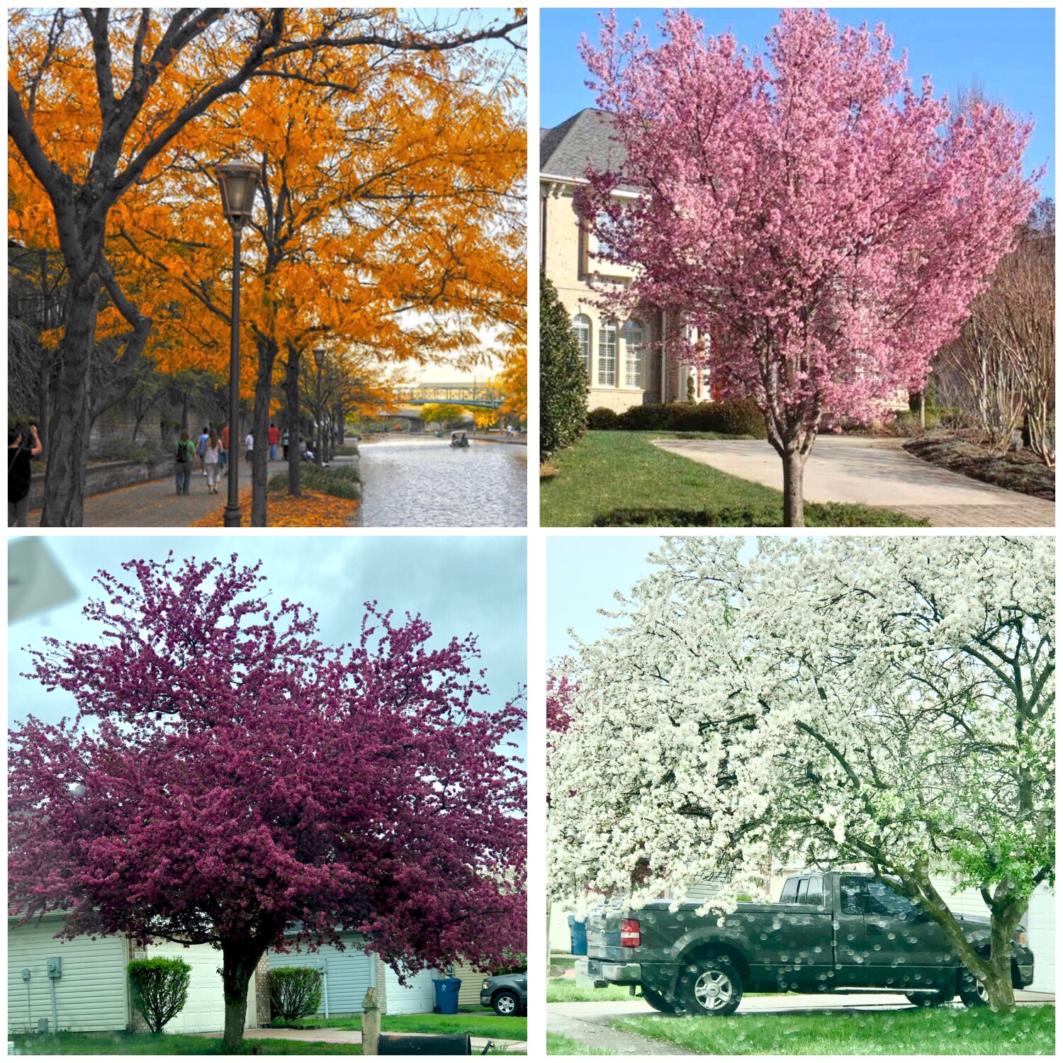 The beauty of nature