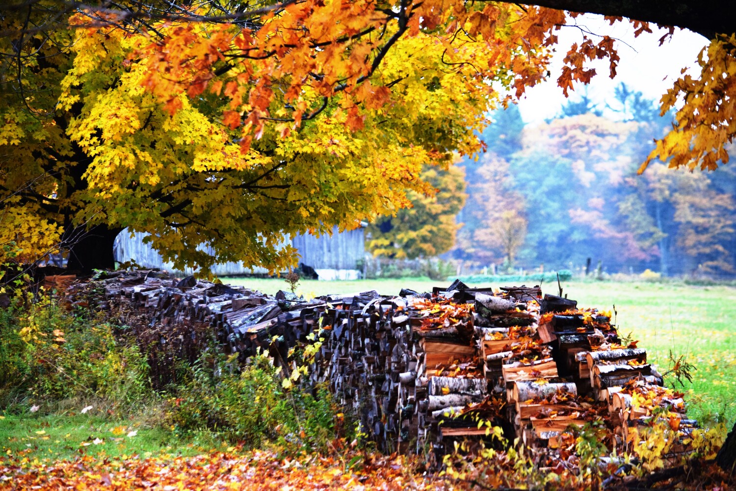 Muster Field Farm Woodstack