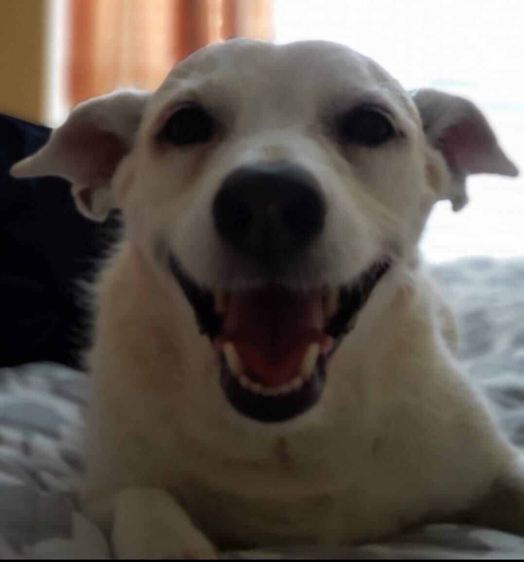 Smile big by Tyson Beech