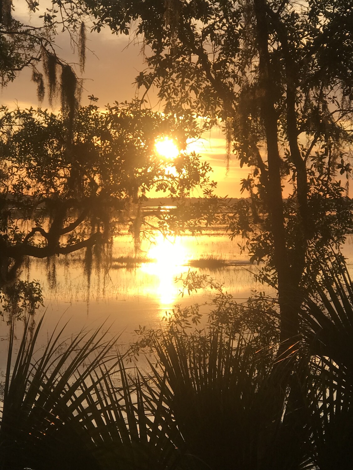Sunrise in the low country