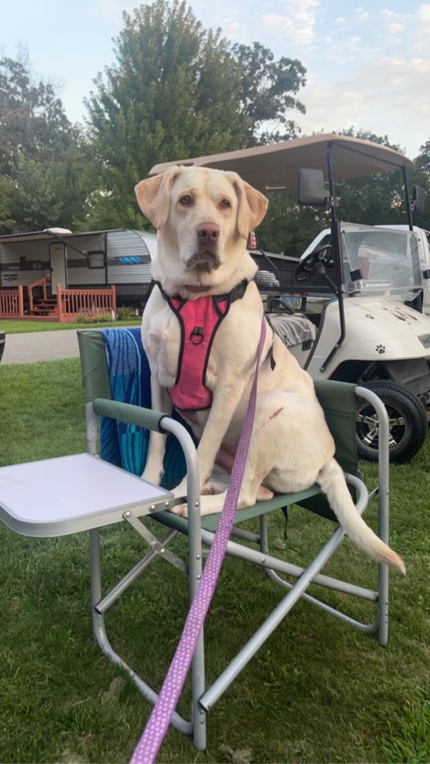 Zillow’s Such a Human!