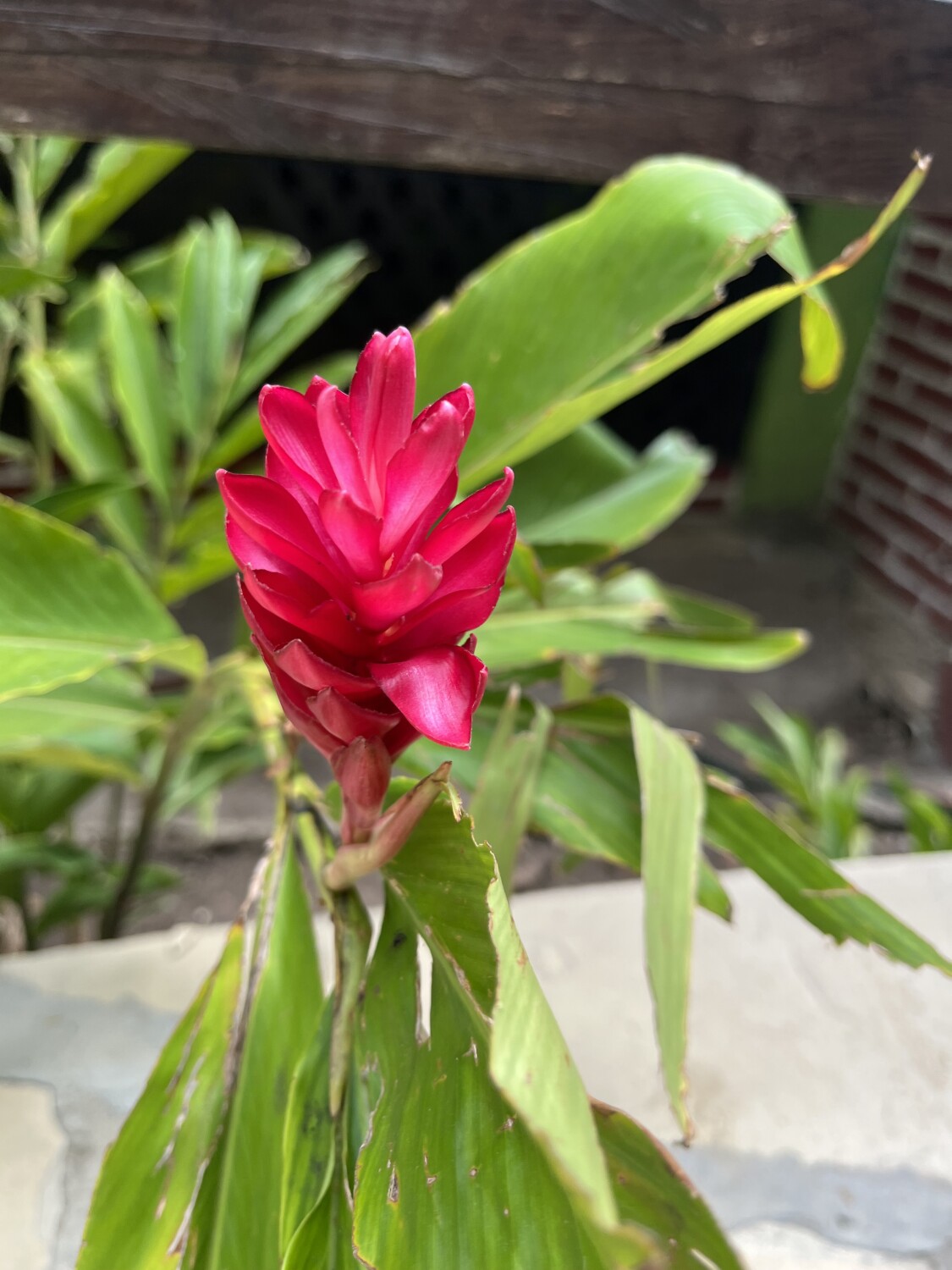 Beauty in the moment