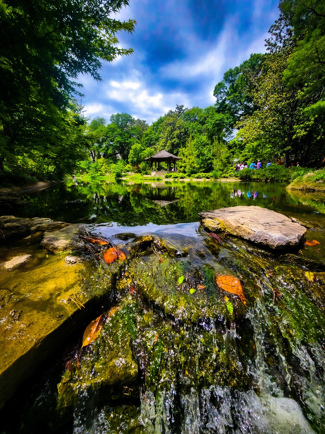 Beautiful Japanese Garden Day