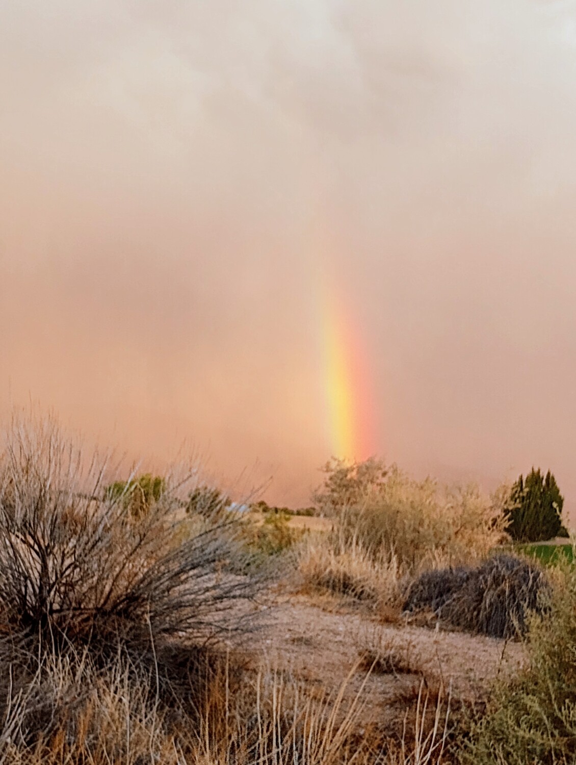 Desert rainbow