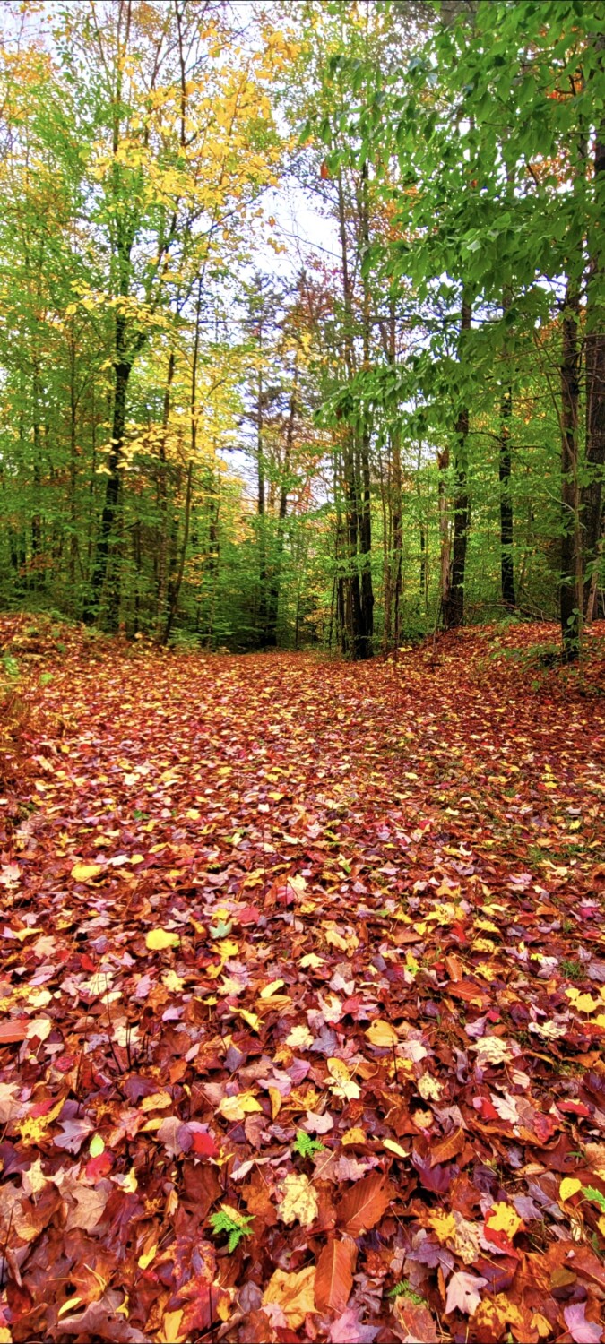 Addirondack mountain