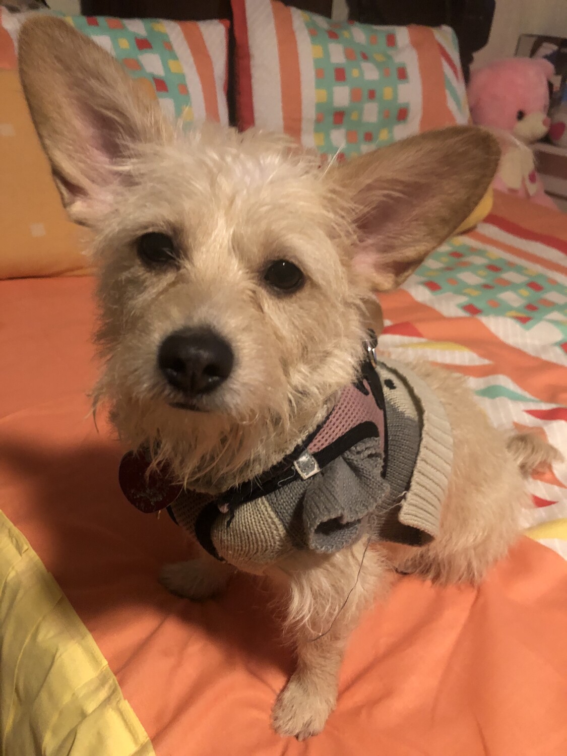 Estrellita Santistevan