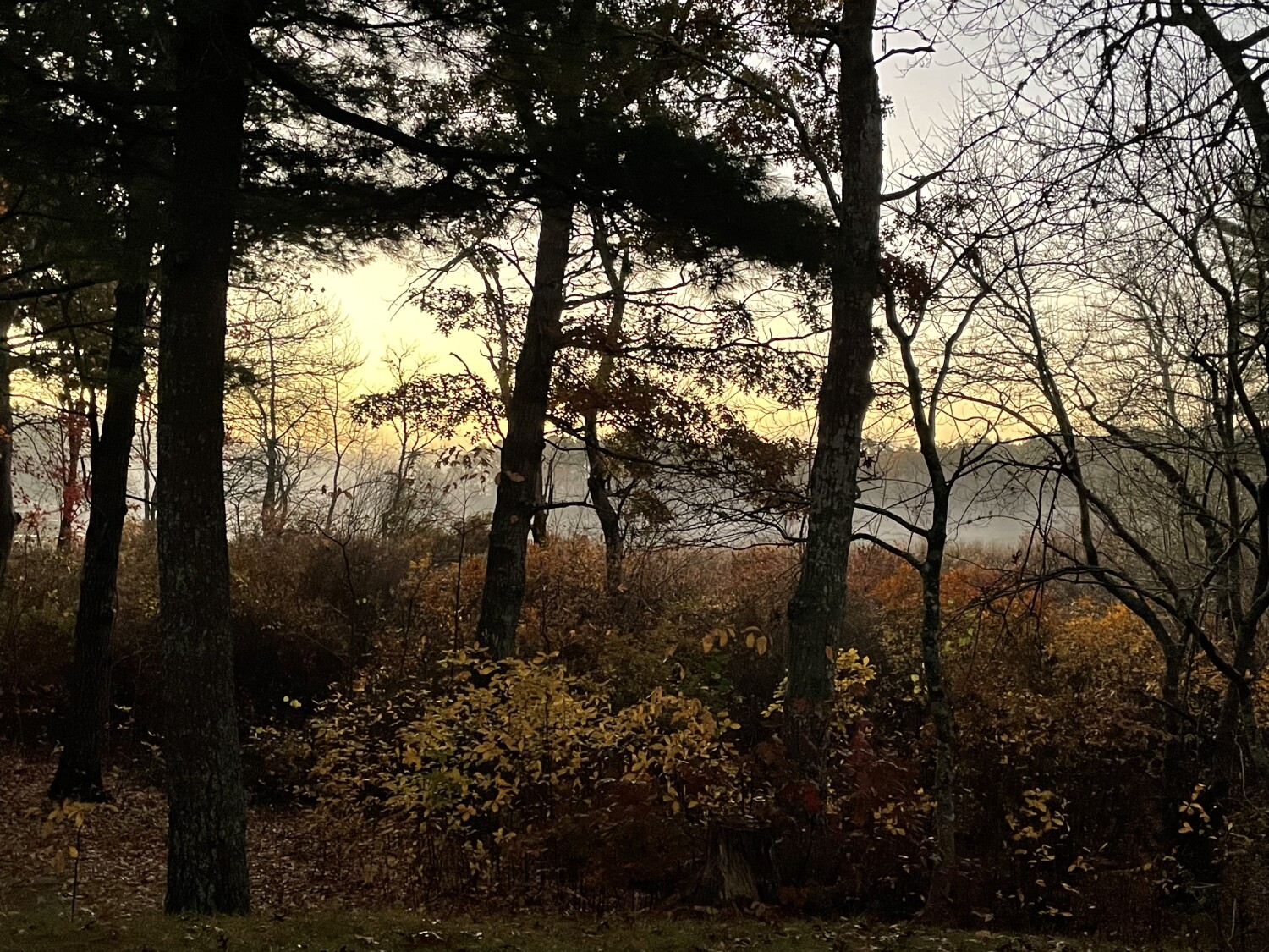 The beauty of the Fall season 🍂