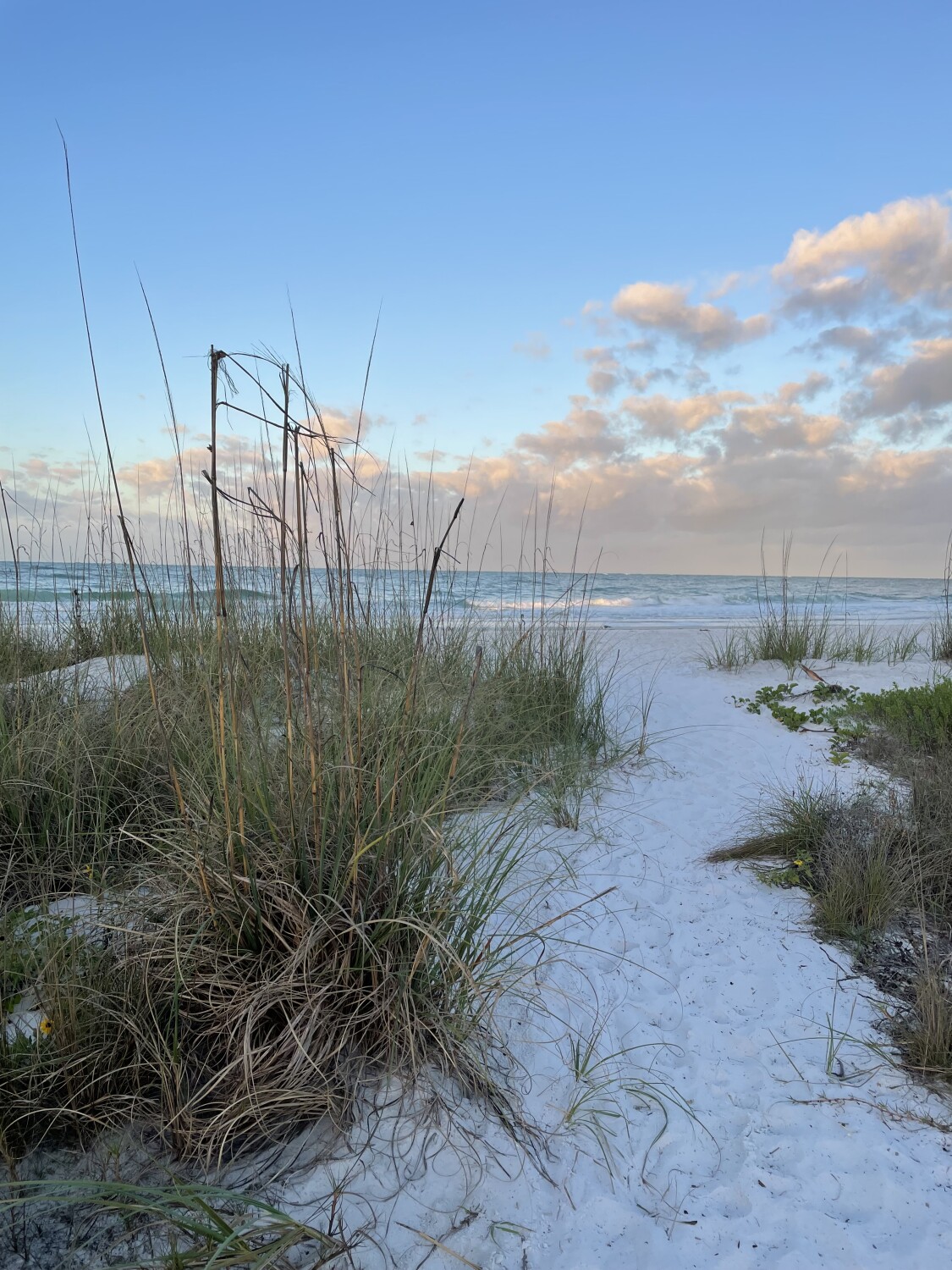 Anna Maria Island sunrise