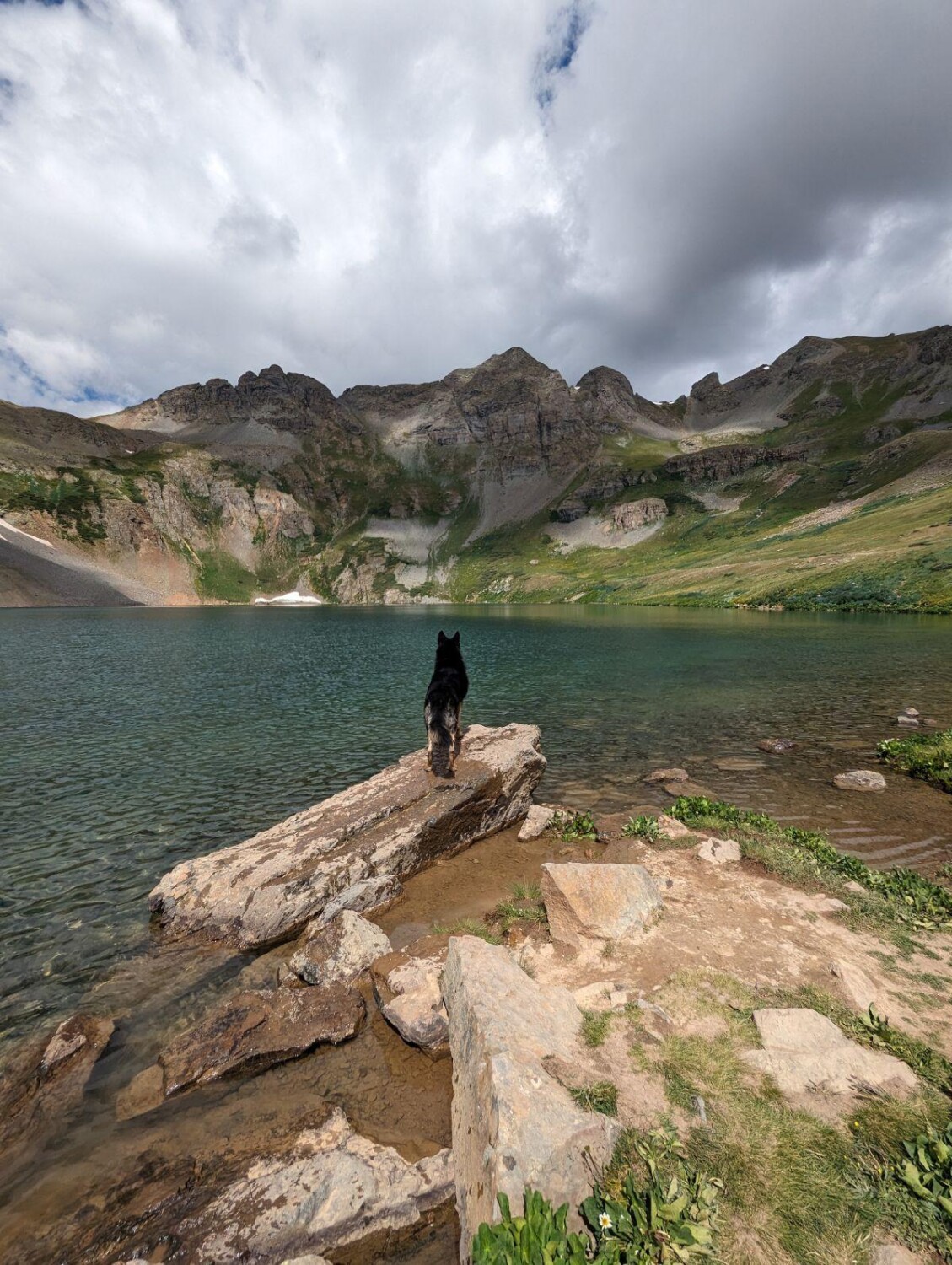 Romeo Finds True Love