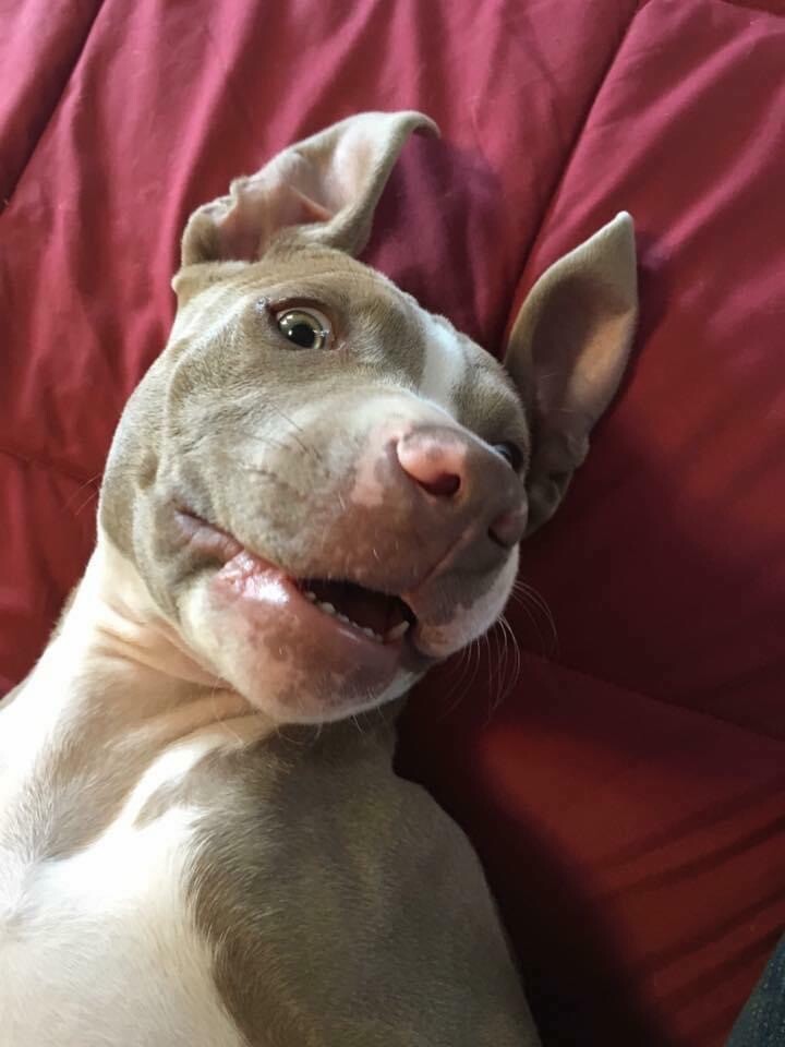 Mason in the morning