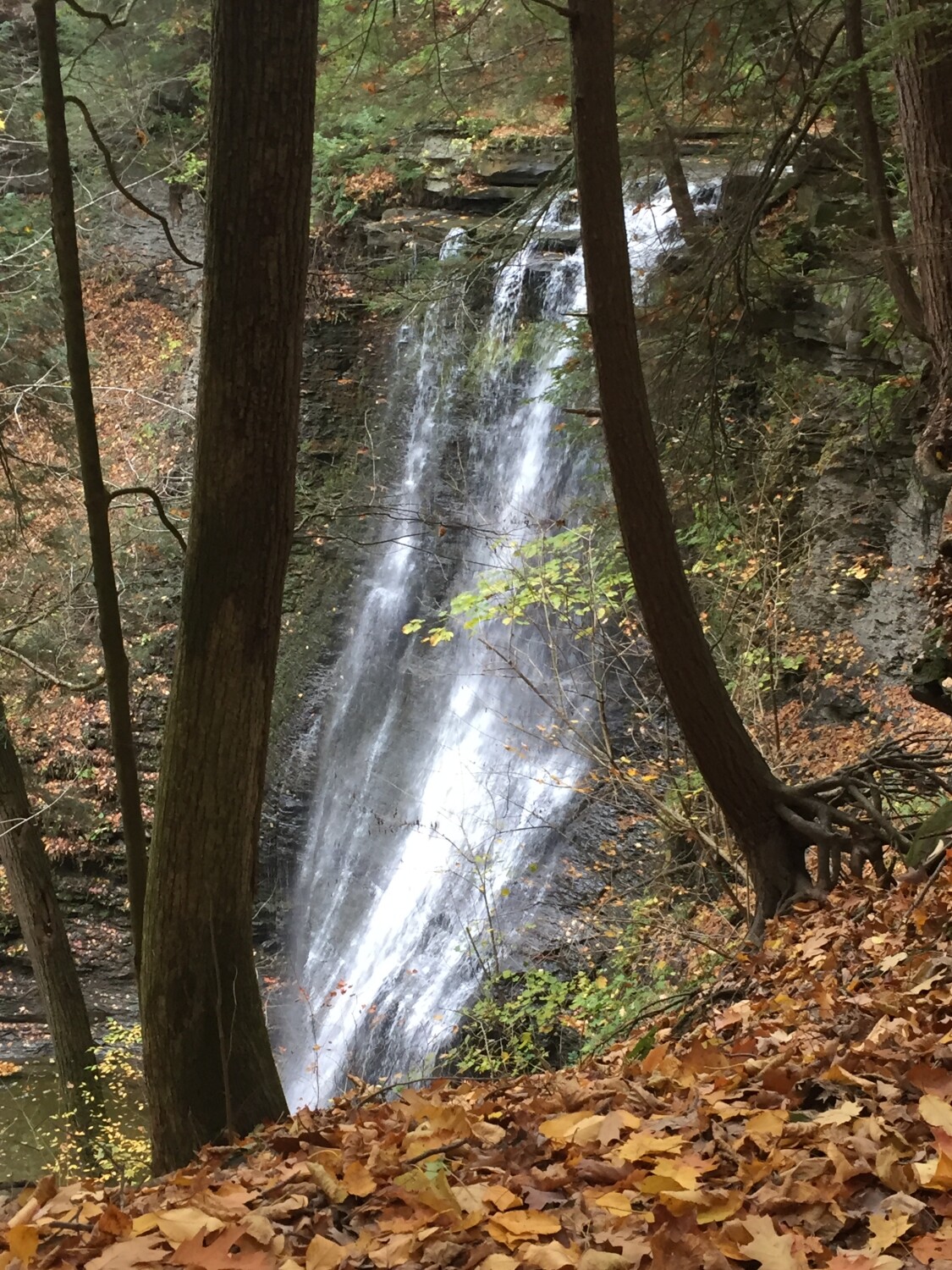Stoners Creek Waterfalls