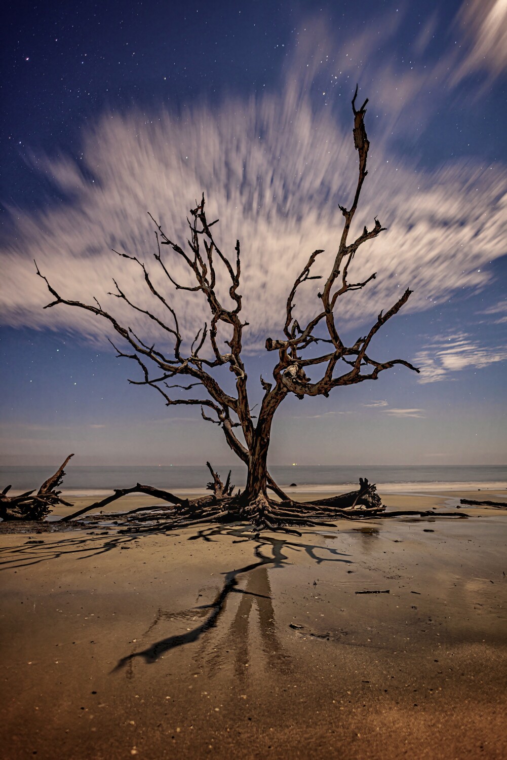 Valentina In The Moonlight